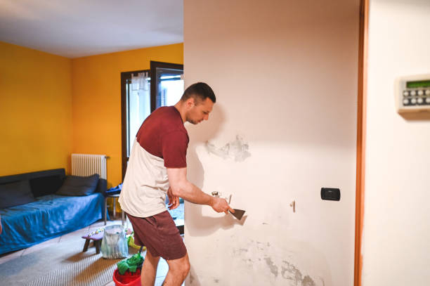 Best Residential Mold Remediation in Marbleton, WY